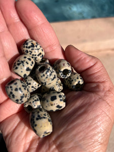 Large Dalmatian Stone Loc Bead